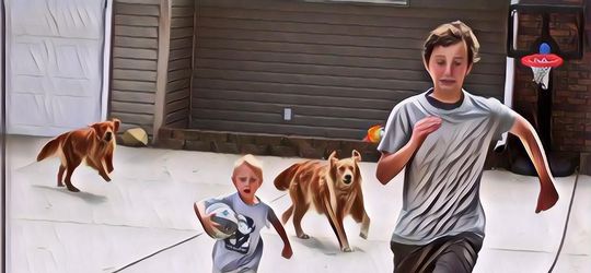 Hal-hal yang Mesti Kamu Lakukan Biar Gak Dikejar atau Diserang Anjing, Tips Penting Nih!