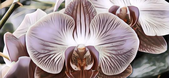 Ikhsan Nur Wicaksono, Guru Honorer Punya Usaha Sampingan Beromzet Ratusan Juta, Ternyata Ini Bisnis yang Ia Jalani