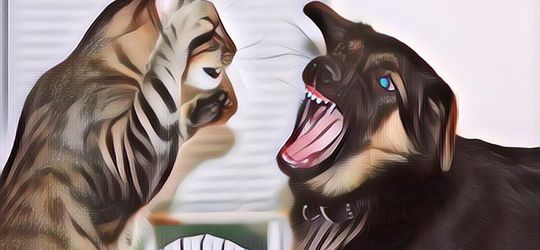 Deretan Hewan Peliharaan Pemberani, Mereka Berhasil Selamatkan Nyawa Majikannya