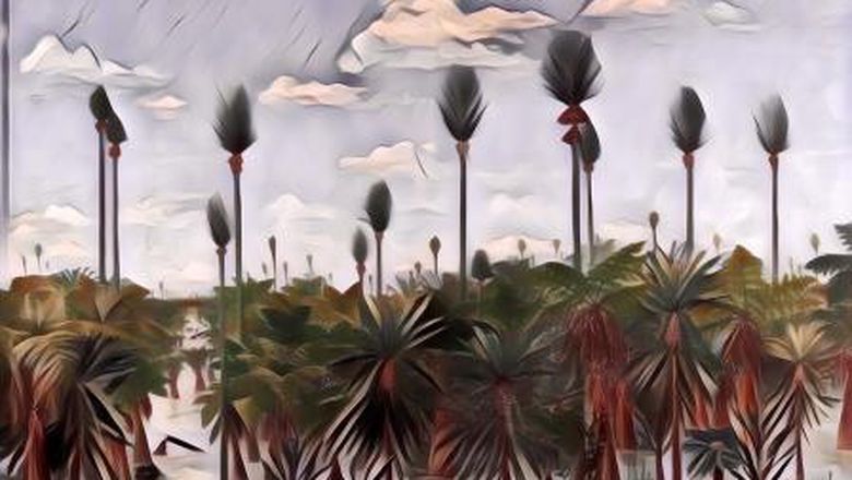 Hutan Berusia 300 juta Tahun Ditemukan di China, Terawetkan Seperti Mumi