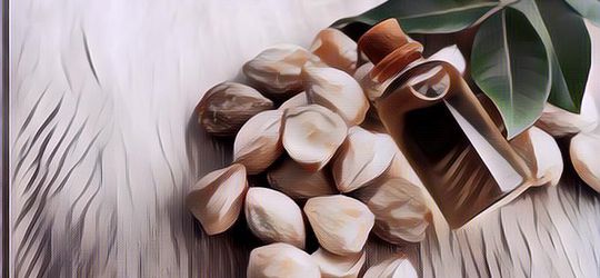 Nggak Cuma Buat Rambut, Ini Deretan Manfaat Minyak Kemiri untuk Wajah