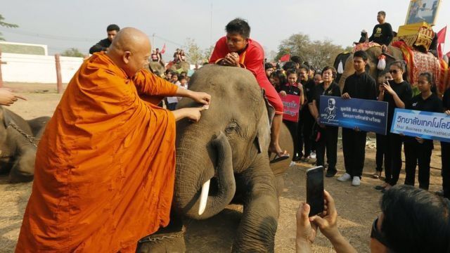 # Krisis Keuangan yang Dialami Friends of the Asian Elephant Foundation