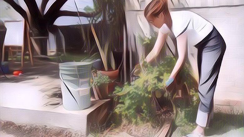 Gak Nyangka! Berikut Ini 7 Manfaat Bercocok Tanam untuk Kesehatan yang Bisa Kamu Dapatkan