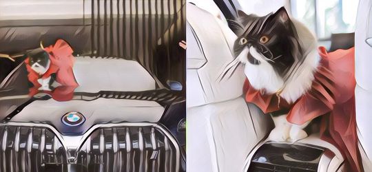 Bikin Heboh, Pengusaha Hijab Ini Beri Hadiah Mobil BMW Untuk Kucingnya!