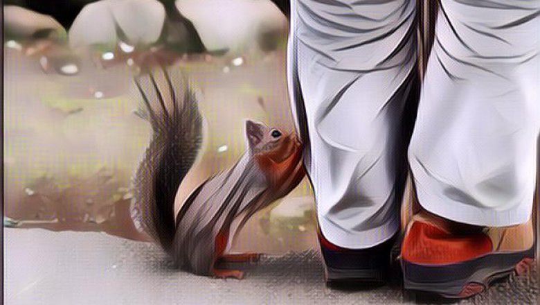 Seekor Tupai di Jepang Mendadak Viral karena Seksi dan Berdada Besar?