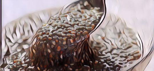 Kecil-Kecil Cabe Rawit, Gak Nyangka Ternyata Manfaat Chia Seed untuk Kesehatan Banyak Banget!