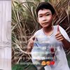 Mengagumkan! Bocah Ini Tak Mau Mencuri, Begini Caranya Meminta Izin Tetangga Saat Mengambil Jambu