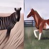 Mirip Kuda, Ini 3 Alasan Zebra Nggak Bisa Dipelihara dan Ditunggangi