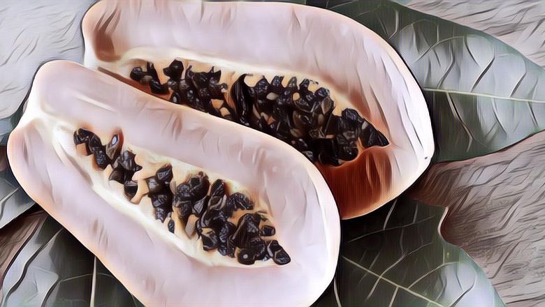 Sering Dianggap Buah Murahan, Pepaya Ternyata Kaya Nutrisi dan Bagus untuk Kesehatan Loh!