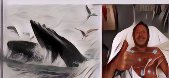Mirip Kisah Dongeng, Seorang Pria Selamat Setelah Ditelan Ikan Paus