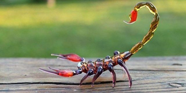 Khasiat racun kalajengking