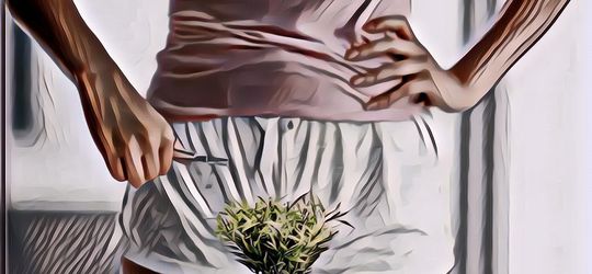 Ternyata Ini Fungsi Penting Rambut Kemaluan yang Kita Miliki