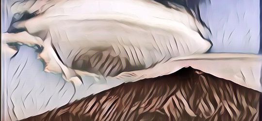 Heboh Ada Benda Berbentuk UFO di Langit Amerika: Nyata atau Tidak?