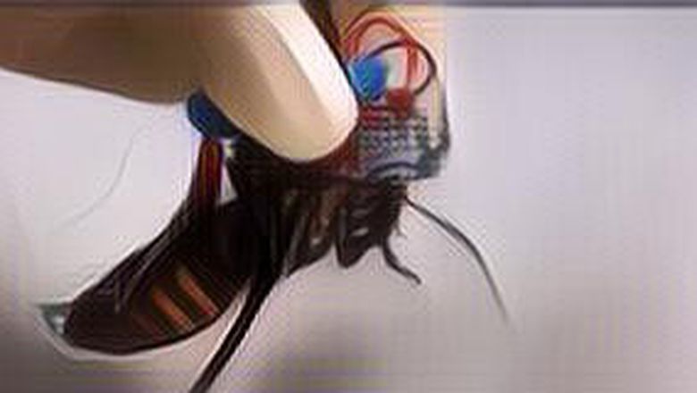 Jenius! Jepang Ciptakan Kecoa Cyborg untuk Cari Korban Gempa Bumi, Gimana Cara Kerjanya?