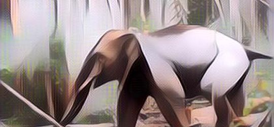 Gajah Liar Mengamuk di Lampung, Satu Warga Tewas Berhasil Dievakuasi Polisi