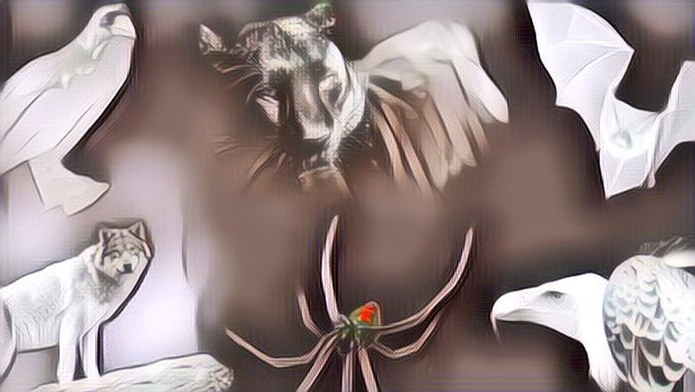 Tebak Kepribadian Akurat! Pilih Salah Satu Hewan dan Ungkap Sisi gelap Dalam Dirimu