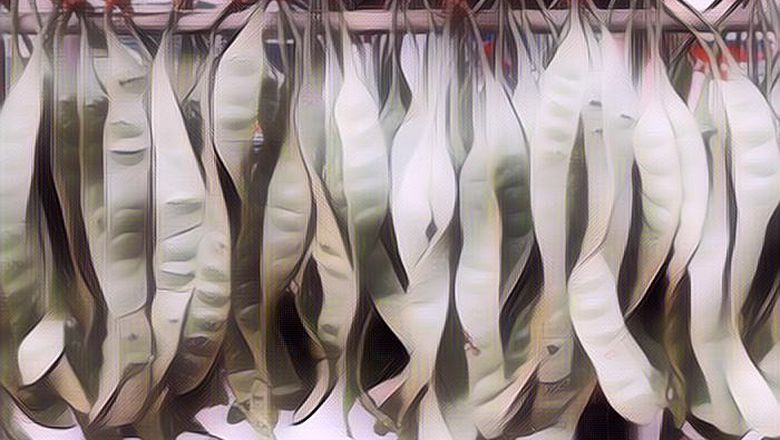 Manfaat Makan Petai untuk Kesehatan, Apa Saja Sih?