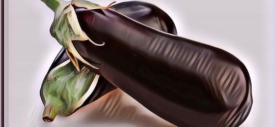 Makan Terong Bikin Cowok Mandul? Malah Sebaliknya, Ini Manfaatnya Untuk Nafsu Syahwat