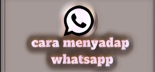 Cara Menyadap WA Istri atau Suami, Aman dan Pengoperasiannya Gampang!