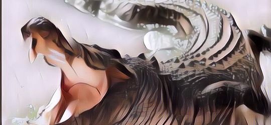 Heboh Pembantaian Buaya di Sorong, Warga Kesal Setelah Buaya Tersebut Membinasakan Seorang Penduduk