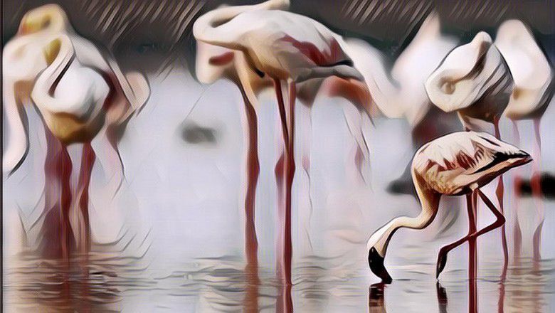 Apa Ini Buktinya Kalo Beberapa Hewan Bisa Memprediksi Bencana Alam?