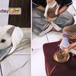 Lucu Banget! Ada Pesta Ulang Tahun Kucing, Tamunya yang Juga Kuncing dapat Bingkisan