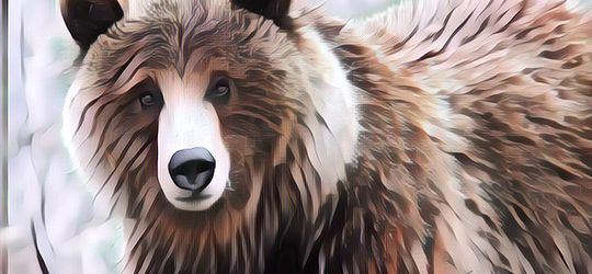 3 Hewan Hebat yang Punya Karier di Dunia Militer, Gak Kalah Cemerlang dari Manusia