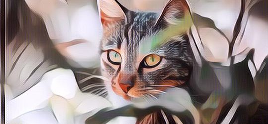 5 Cara Mengusir Kucing Liar dari Rumah, Pasti Ampuh