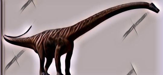 Fakta Soal Amphicoelias Fragillimus, Hewan Terbesar Sepanjang Masa yang Mencapai 60 Meter