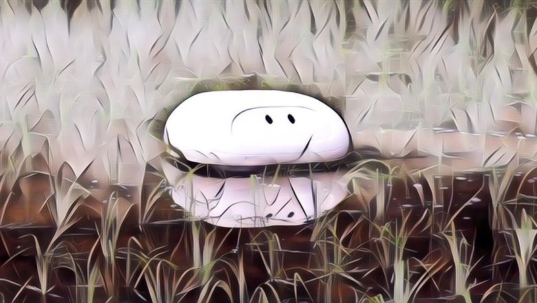 Robot Pembasmi Gulma Pengganti Bebek di Sawah