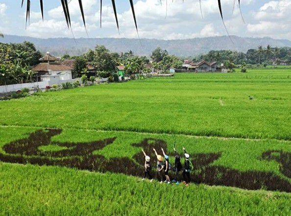 3. Berganti-ganti gambar setiap panennya