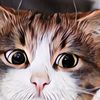 5 Pelajaran Hidup yang Bisa Kamu Dapat dari Kucing... Penasaran?