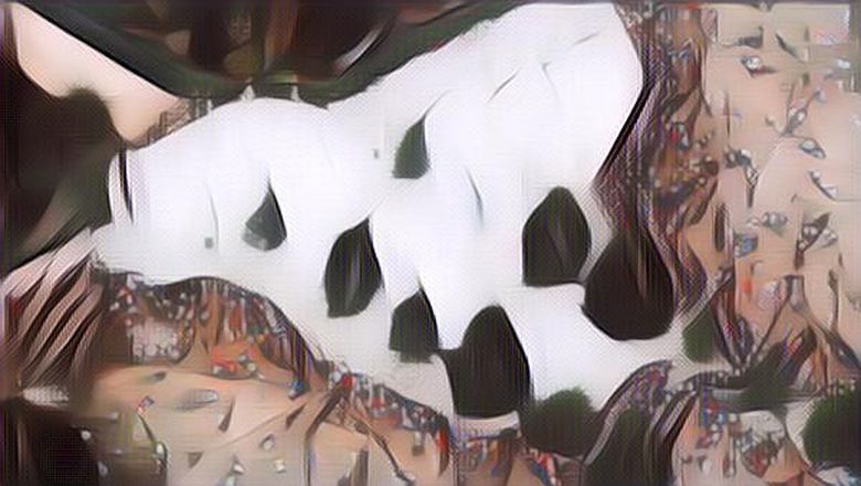 Viral Lagi! Publik Soroti Perbedaan Jumlah Karangan Bunga Meninggalnya Ratu Elizabeth II Dan Princess Diana