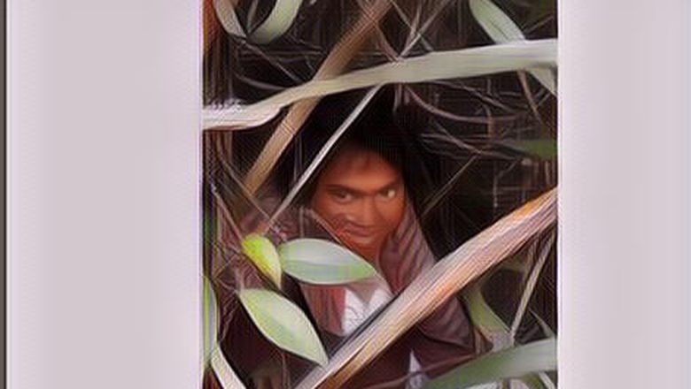 Pilu, Kisah Wanita yang Bertahun-tahun Tinggal di Semak-semak, Gimana Kalau Ada Ular?