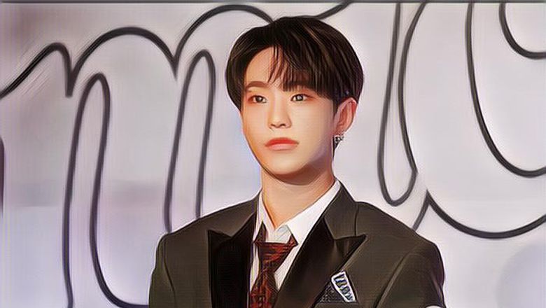 Hoshi SEVENTEEN Geram Diganggu Sasaeng Saat Live, Ancam Bakal Ambil Tindakan Tegas