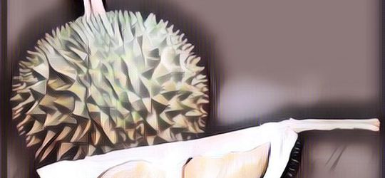 Seekor Gajah Terekam CCTV Mencuri Durian di Thailand