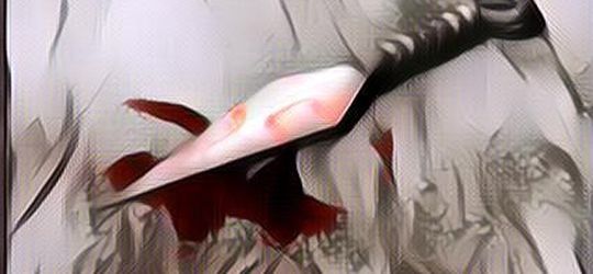 Wiranto Ditusuk: Hokage ke-7 Pastikan Itu Bukan Warga Konoha~