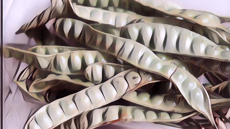 Gak Nyangka! Meski Bau, Pete Ternyata Kaya Nutrisi, Apa Saja Kandungan Gizinya?