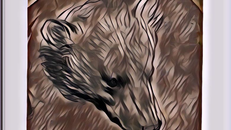 Menyusul Horse and Rider yang Memiliki Harga Fantastis, Gambar Kepala Beruang Karya Leonardo Da Vinci Dihargai Rp236 Miliar