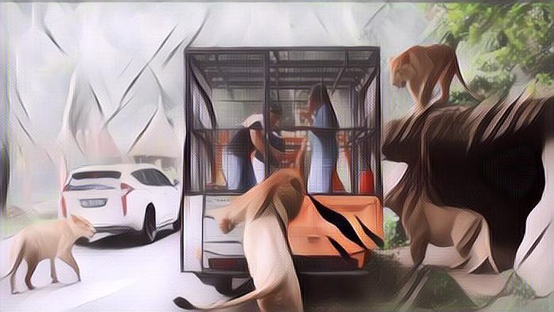 Taman Safari Bogor: Ini Hal yang Perlu Diketahui Sebelum ke Sana