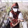 Lulusan Engineer, Pria Ini Malah Kaya Usai Putuskan Jadi Petani Cabai