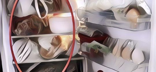 Jangan Dilakukan Lagi! Simpan Makanan Dibungkus Plastik Ke Kulkas Ternyata Berbahaya Sampai Bisa Mengancam Nyawa