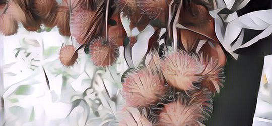 Viral Buah Rambutan Dijadikan Bahan Dekorasi Pernikahan, Begini Hasilnya