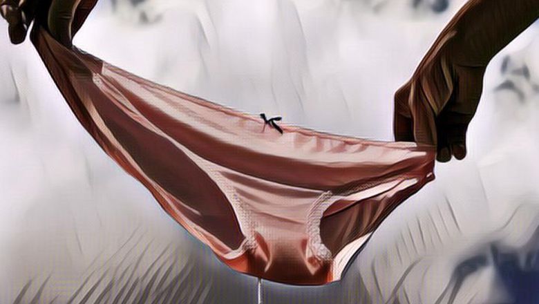 Viral Pencuri Pakaian Dalam Yang Ketahuan Setubuhi Boneka Beruang