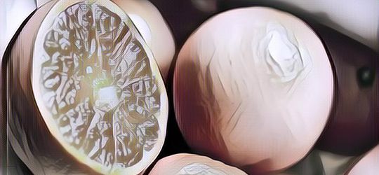 Kenapa Buah Jeruk Wajib Ada Saat Perayaan Imlek? Ini Jawabnya