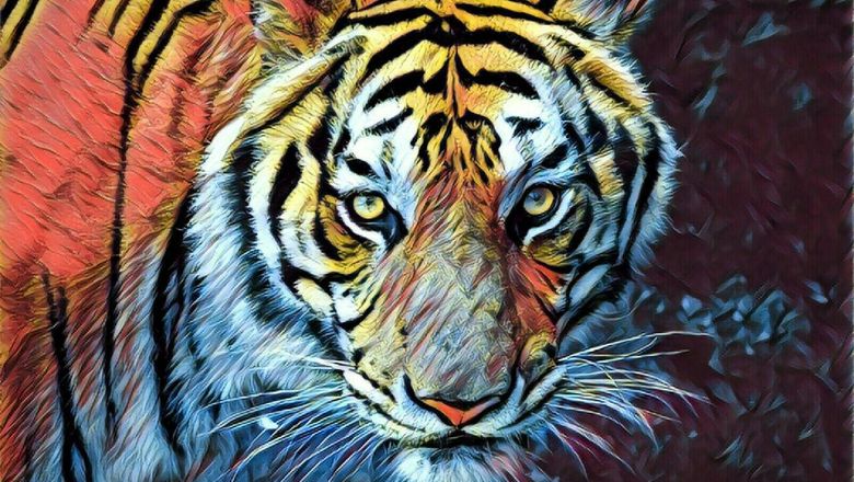 Bonita Dipercayai oleh Beberapa Warga Sebagai Siluman Harimau