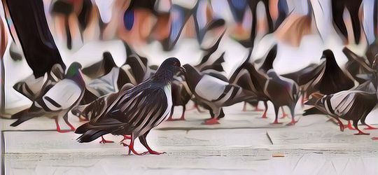 3 Peraturan Aneh di Berbagai Negara, Ada yang Nggak Boleh Makan Permen Karet