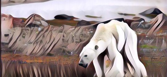 Krisis Iklim Itu Nyata, Beruang Kutub Terancam Punah Karena Es Terus Mencair