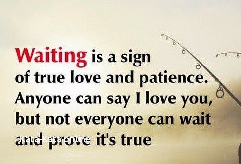 Waiting is a sign of true love and patience. Anyone can say I love you, but not everyone can wait and prove it's true.