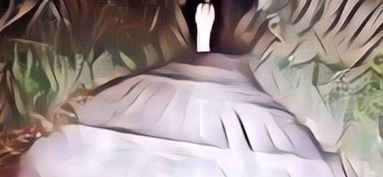 Lagi Asik Foto Bersama Dekat Hutan, Pasangan Ini Tiba-Tiba Melihat Penampakan: Merinding!